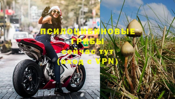 СК Абинск