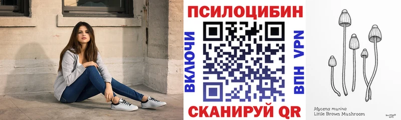 Галлюциногенные грибы Psilocybe  как найти закладки  Богданович 